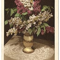 C 38366 - Srdečné blahopřání 