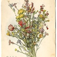 C 38372 - Srdečné přání