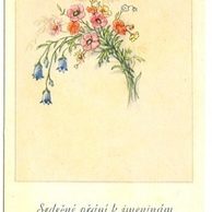 C 38504 - Srdečné blahopřání k jmeninám