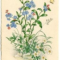 C 38506 - Srdečné blahopřání k jmeninám