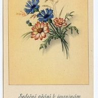 C 38505 - Srdečné blahopřání k jmeninám