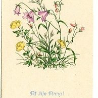 C 38509 - Ať žije Anna