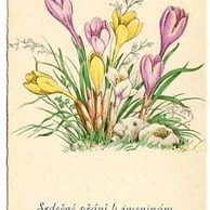 C 38510 - Srdečné blahopřání k jmeninám