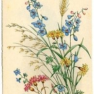 C 38514 - Srdečné blahopřání k jmeninám