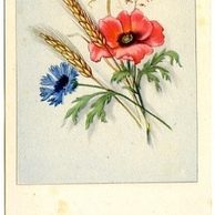 C 38516 - Ať žije Anna