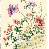 C 38513 - Srdečné blahopřání k jmeninám