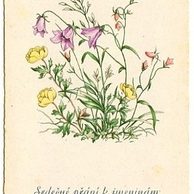 C 38519 - Srdečné blahopřání k jmeninám