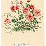 C 38521 - Ať žije Anna