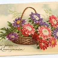 C 38520 - Srdečné blahopřání k narozeninám