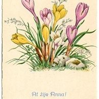 C 38518 - Ať žije Anna