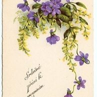 C 38524 - Srdečné blahopřání k narozeninám