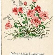 C 38523 - Srdečné blahopřání k jmeninám