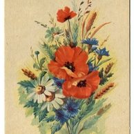 C 38540 - Srdečné přání