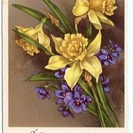 C 38535 - Srdečné blahopřání k narozeninám