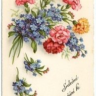 C 38544 - Srdečné blahopřání k narozeninám