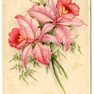 C 38556 - Srdečné blahopřání k narozeninám