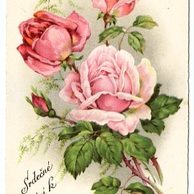 C 38554 - Srdečné blahopřání k narozeninám