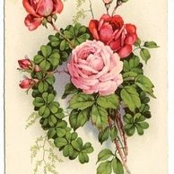 C 38553 - Srdečné blahopřání k narozeninám