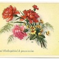 C 38578 - Srdečné blahopřání k jmeninám