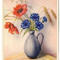 C 38582 - Srdečné blahopřání k jmeninám