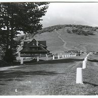 Ostatní cizina - 38654