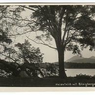 Ostatní cizina - 38633