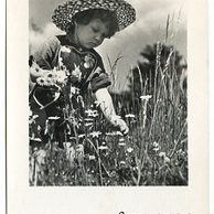 D 38600 - Srdečné přání