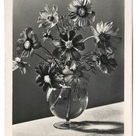 D 38604 - Srdečné přání