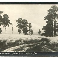 D 39806 - Ivan Ivanovič Šiškin - 6ito