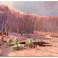 C 39880 - Doubovskij