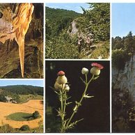 F 40097 - Moravský kras 