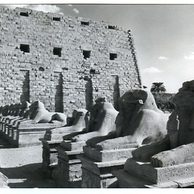 Ostatní cizina - 40301