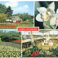 F 40432 - Olomouc (Olmütz)2 