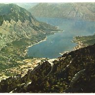 Kotor - 40460