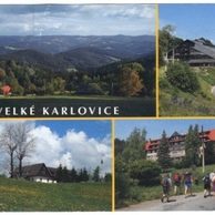 F 41056 - Velké Karlovice 