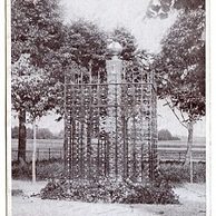 D 40707 - Růžový Palouček u Litomyšle 