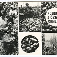 E 40715 - Pozdrav z česání chmele