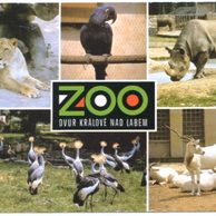 F 41518 - Dvůr Králové nad Labem 