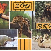 F 41834 - Brno město - část III 