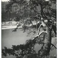 E 42559 - Vranovská přehrada 