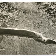 E 42395 - Český Ráj