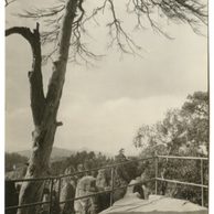 E 42427 - Český Ráj 