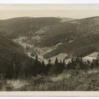 D 43036 - Orlické hory 