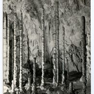 E 42628 - Moravský kras 