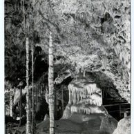 E 42629 - Moravský kras 