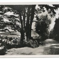 D 42982 - Lázně Gräfenberk 