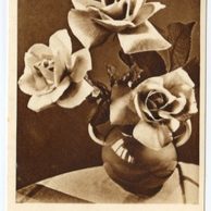 D 43135 - Srdečné blahopřání