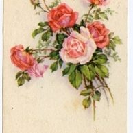 C 43138 - Srdečné přání