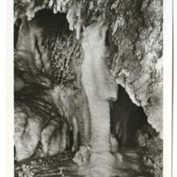 D 43167 - Zbrašovské jeskyně u Hranic 