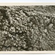 D 43166 - Zbrašovské jeskyně u Hranic 